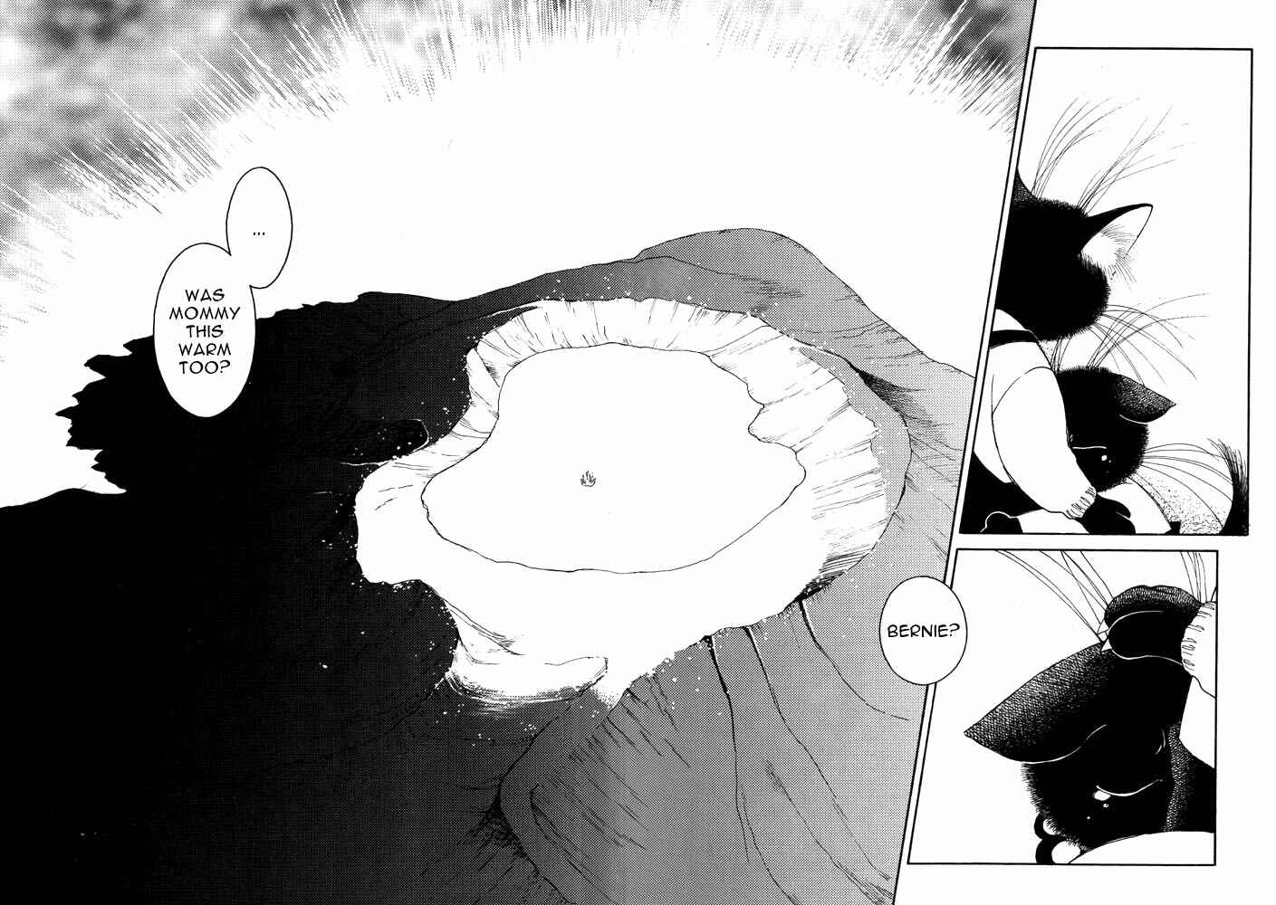 Page 29 Chapter 5 Bernie no Enikki