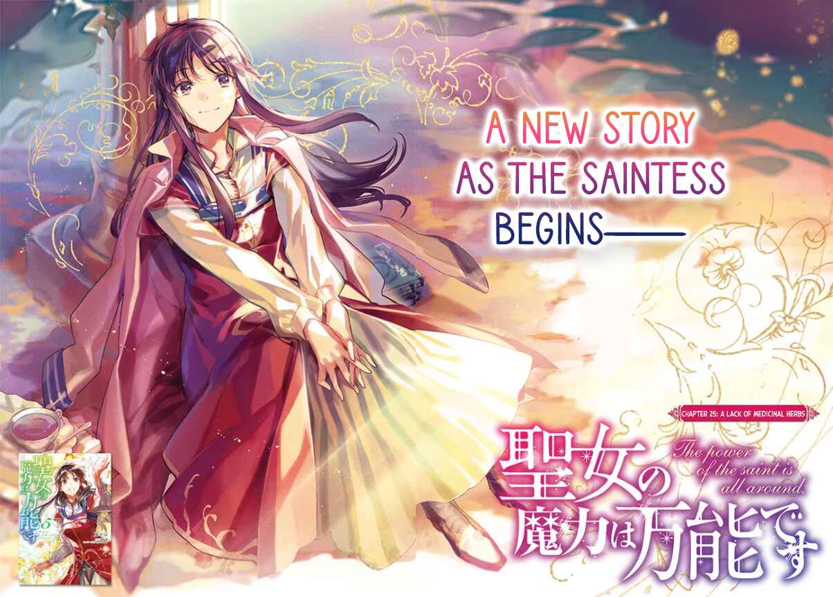 Page 2 Chapter 25 Seijo no Maryoku wa Bannou desu