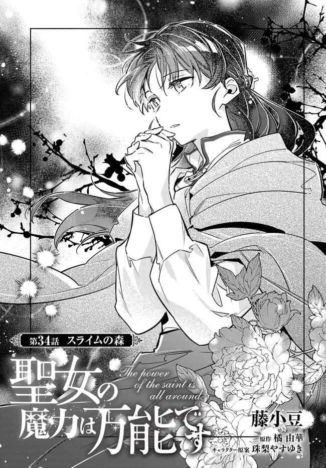Page 3 Chapter 34 Seijo no Maryoku wa Bannou desu