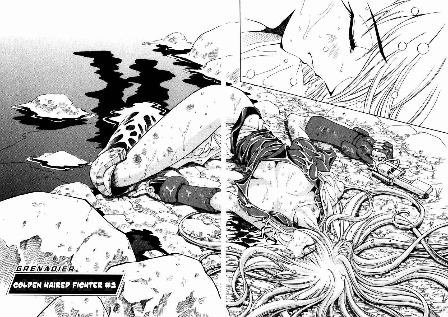 Page 2 Chapter 2 Grenadier