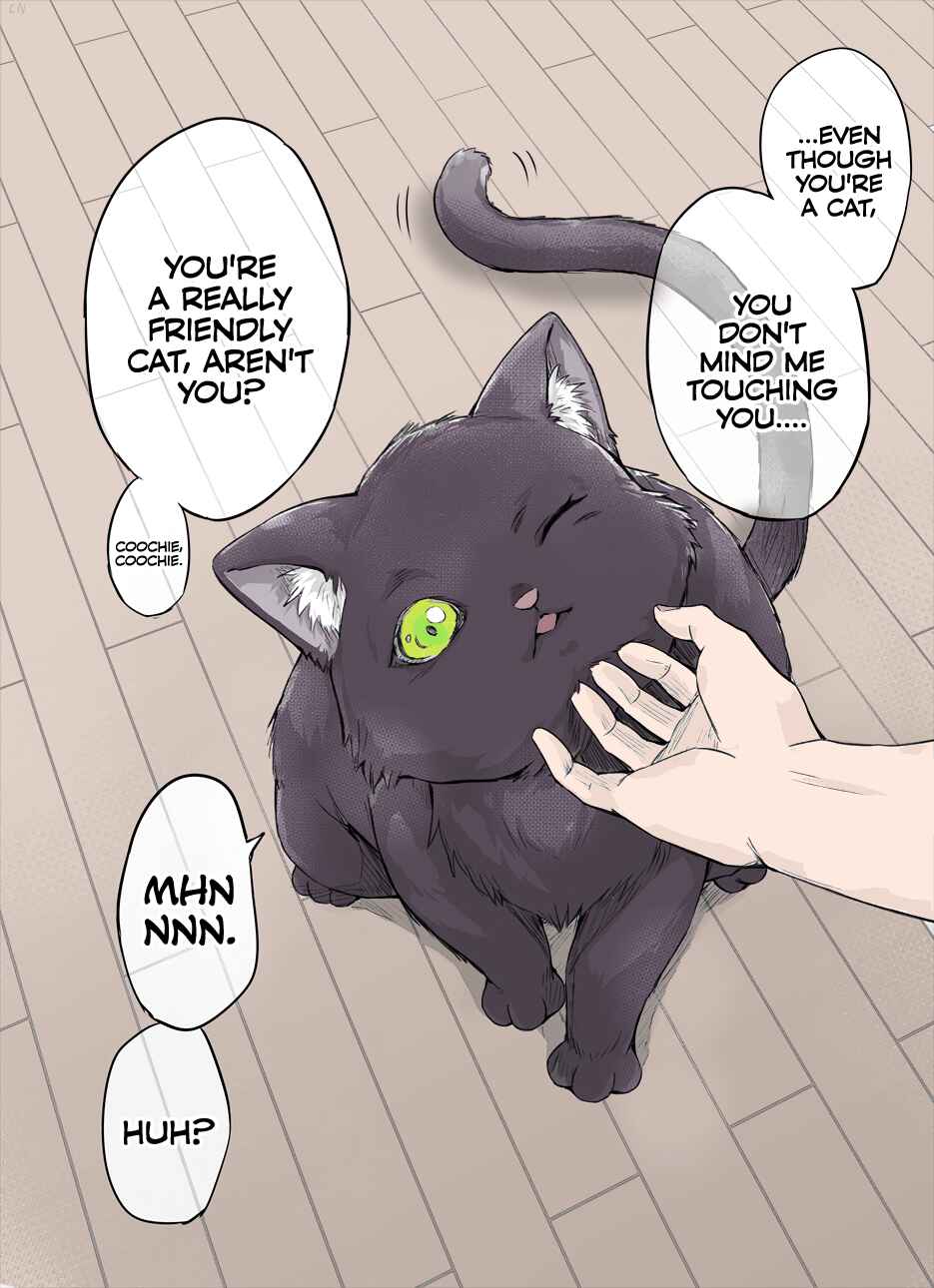Page 1 Chapter 2 The Yandere Pet Cat Is Overly Domineering (Fan Colored)
