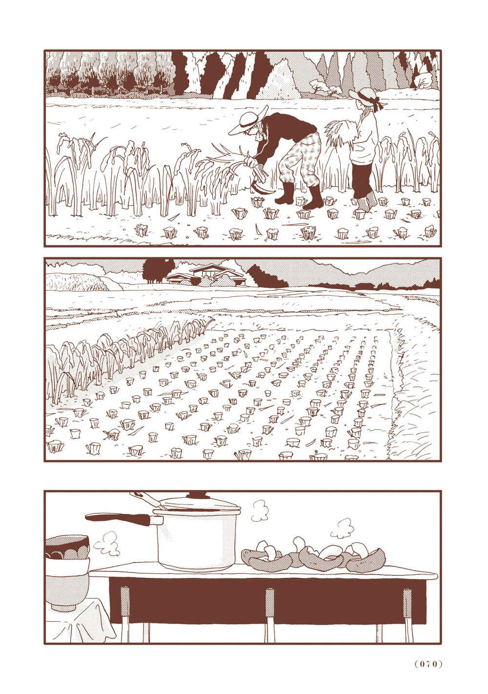 Page 14 Chapter 3 Country Diary