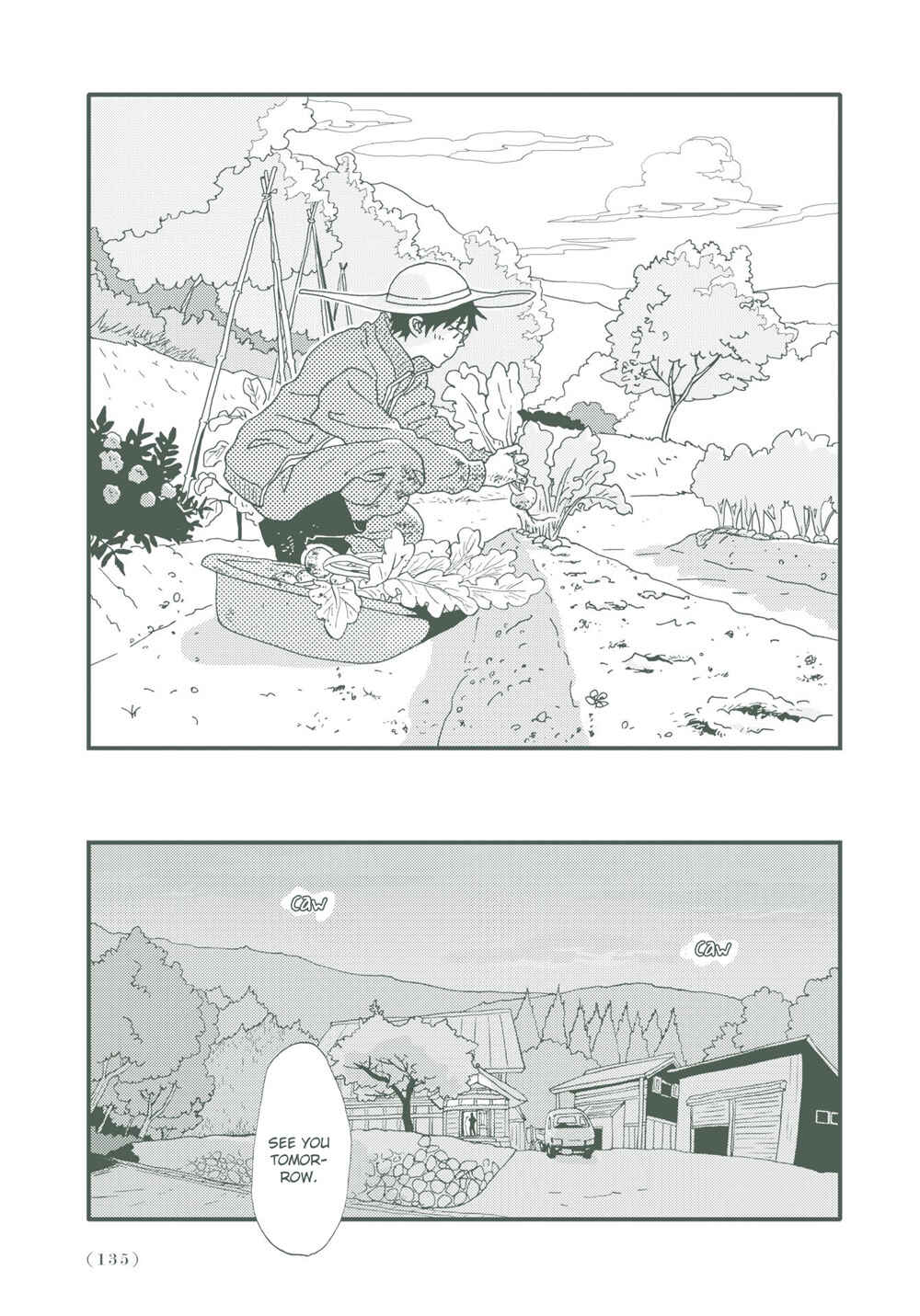 Page 13 Chapter 8 Country Diary