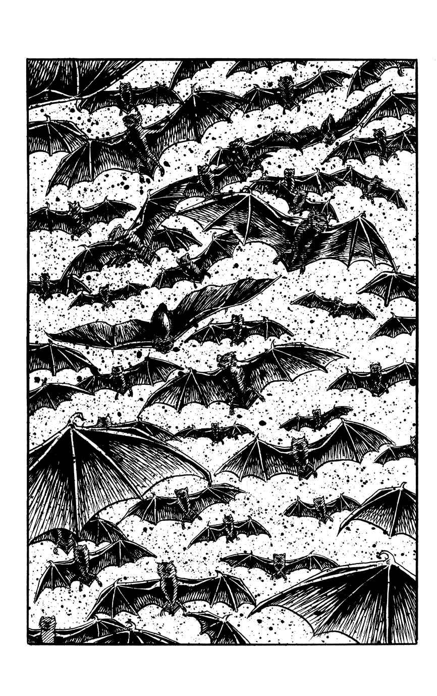 Page 22 Chapter 74 Black Angels