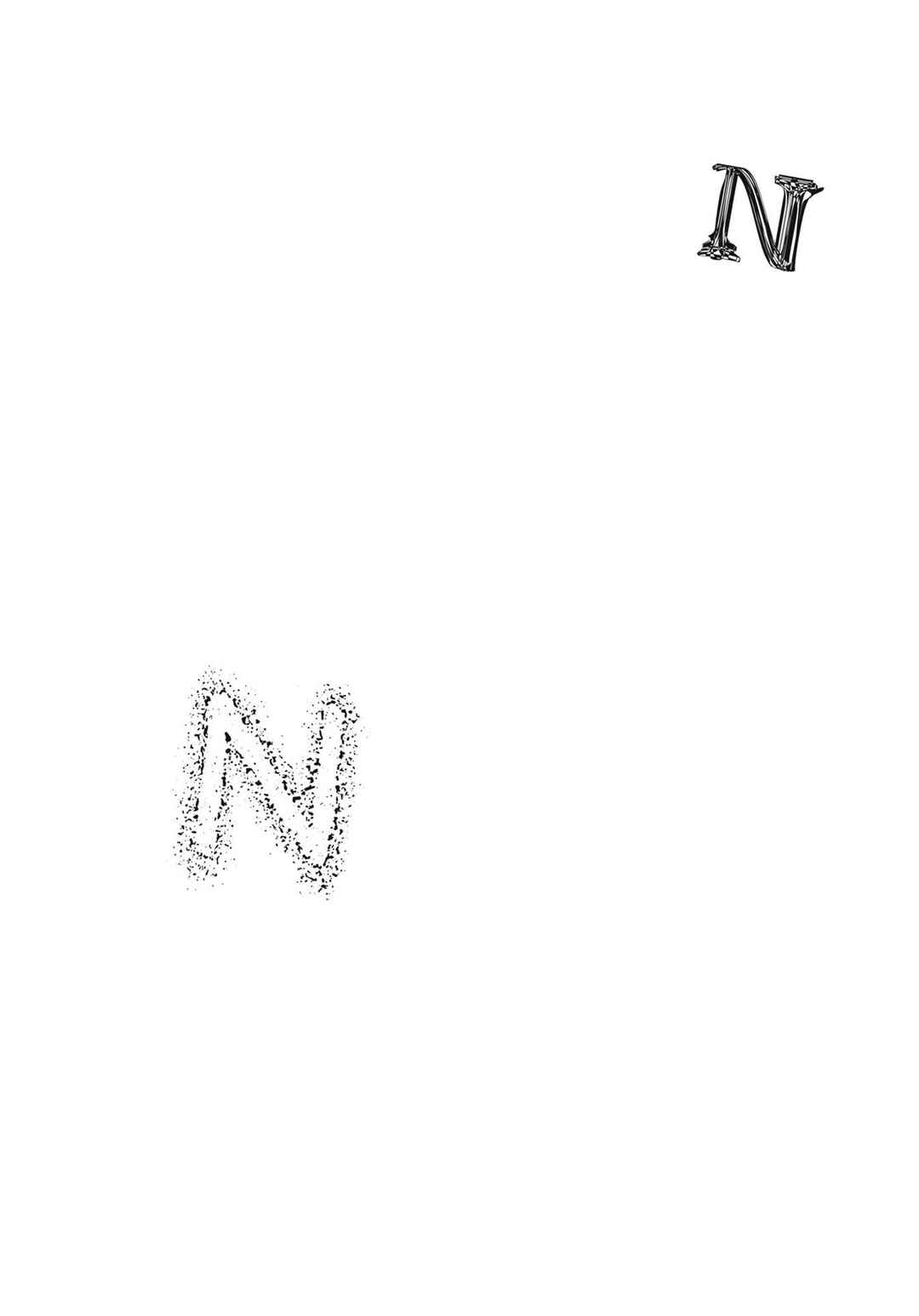 Page 11 Chapter 2 N