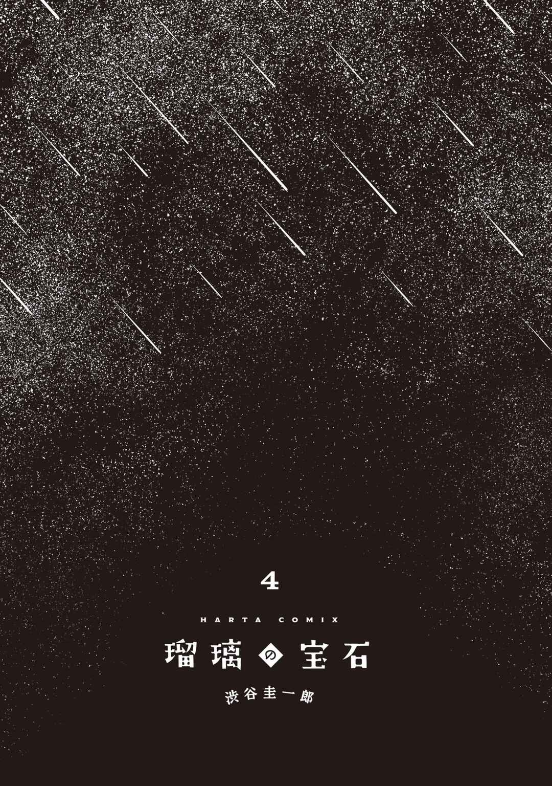 Page 3 Chapter 19 Ruri no Houseki