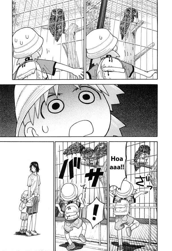 Page 17 Chapter 19 Yotsuba to!