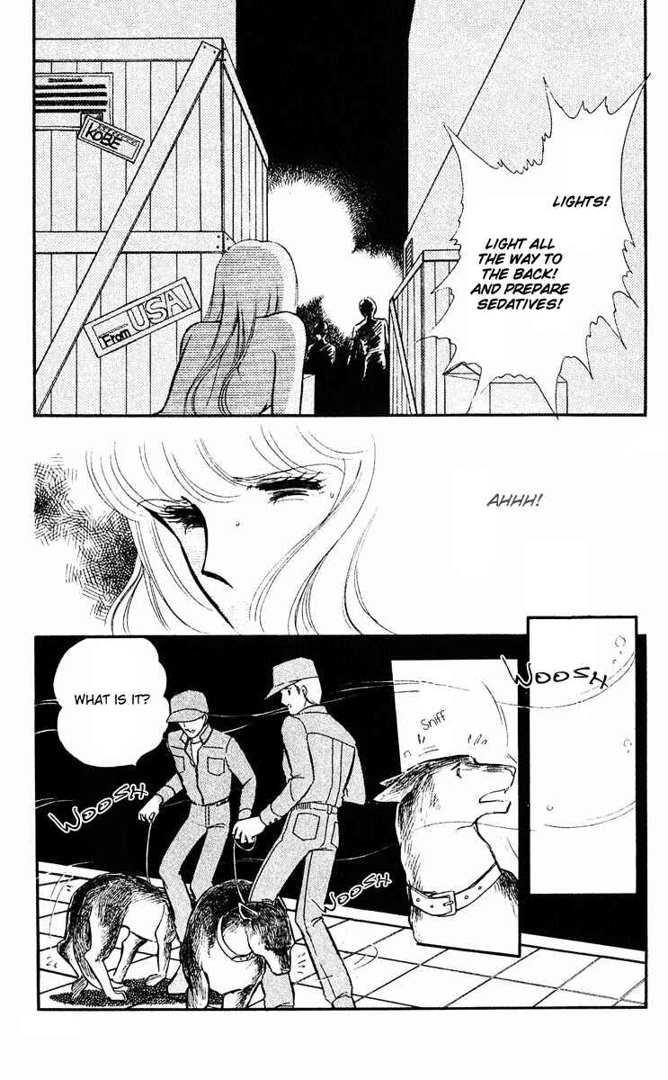 Page 5 Chapter 14 Purple Eyes of Darkness