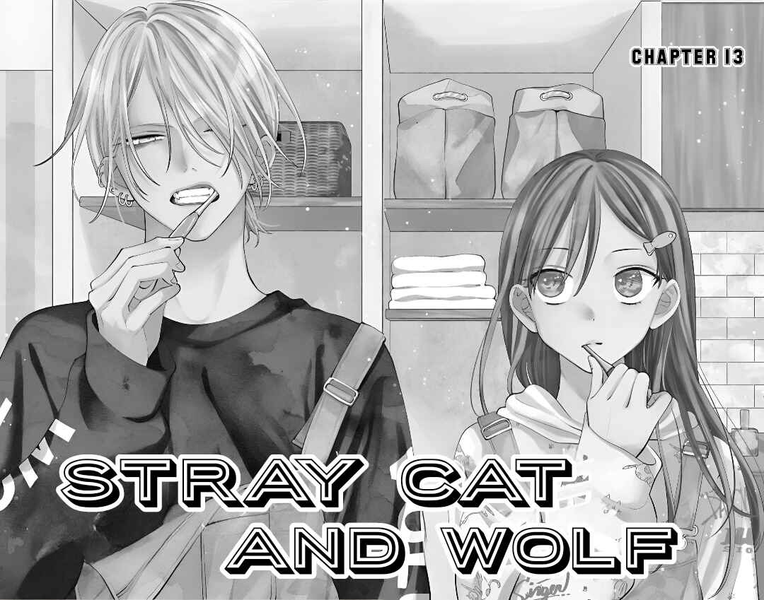 Page 5 Chapter 13 Stray Cat & Wolf