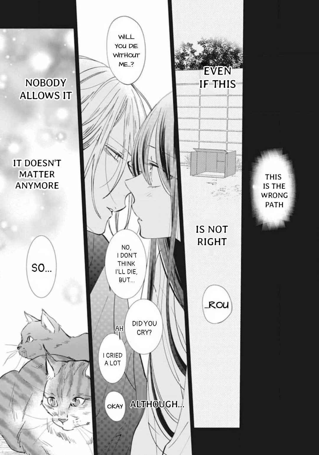 Page 41 Chapter 11 Stray Cat & Wolf