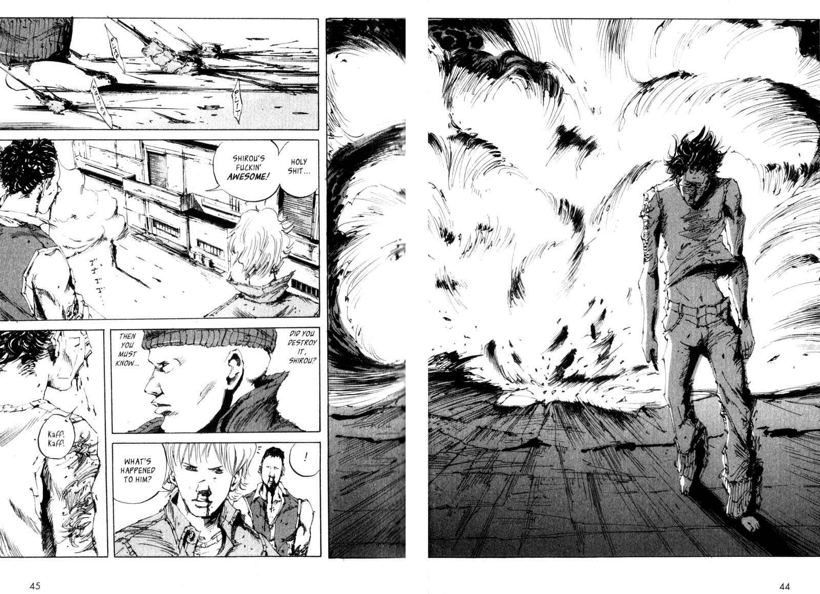 Page 45 Chapter 11 The End