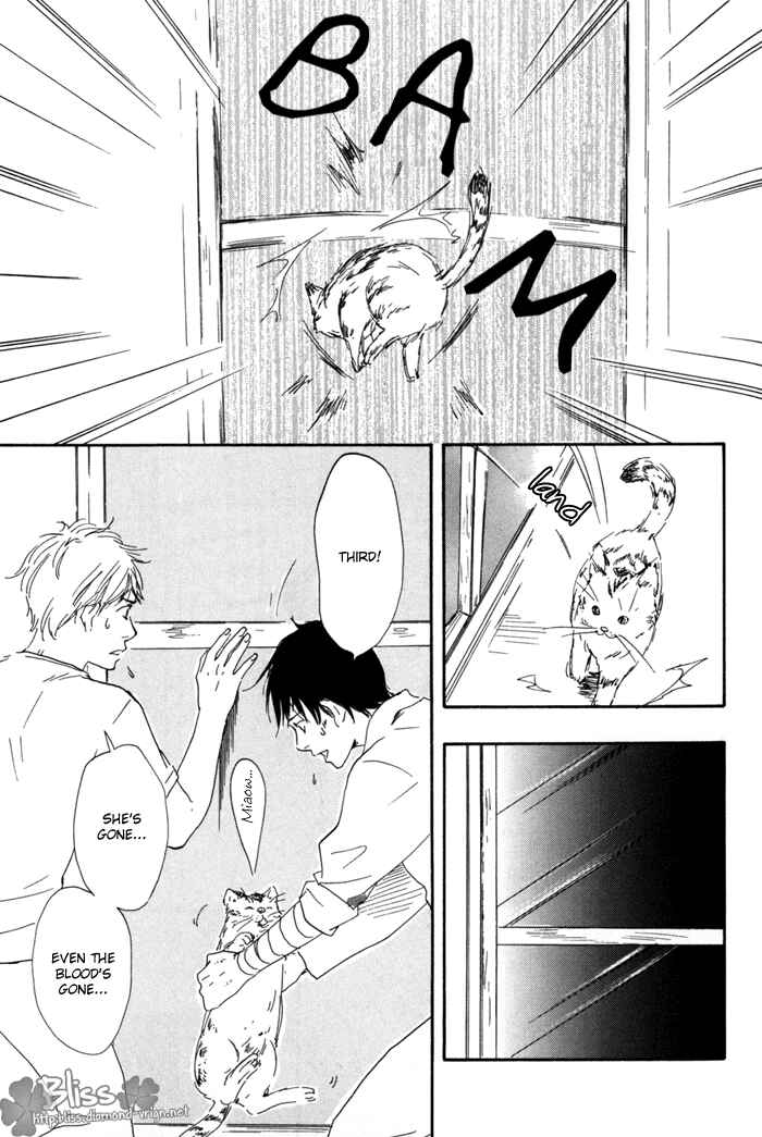 Page 29 Chapter 12 My 17th Spring