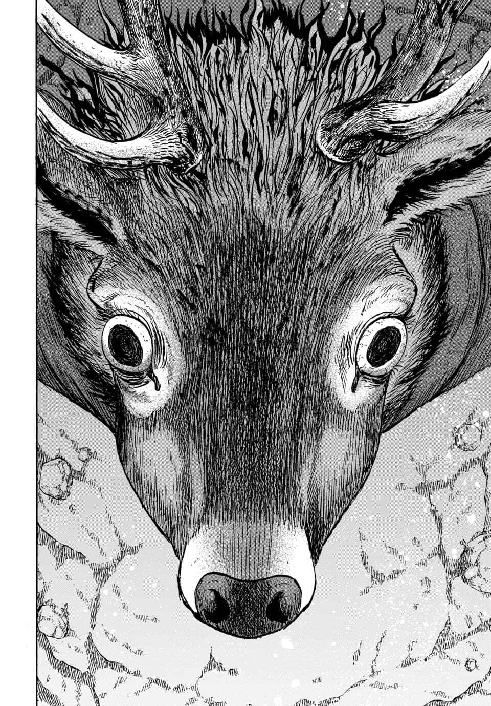 Page 16 Chapter 14 Animan