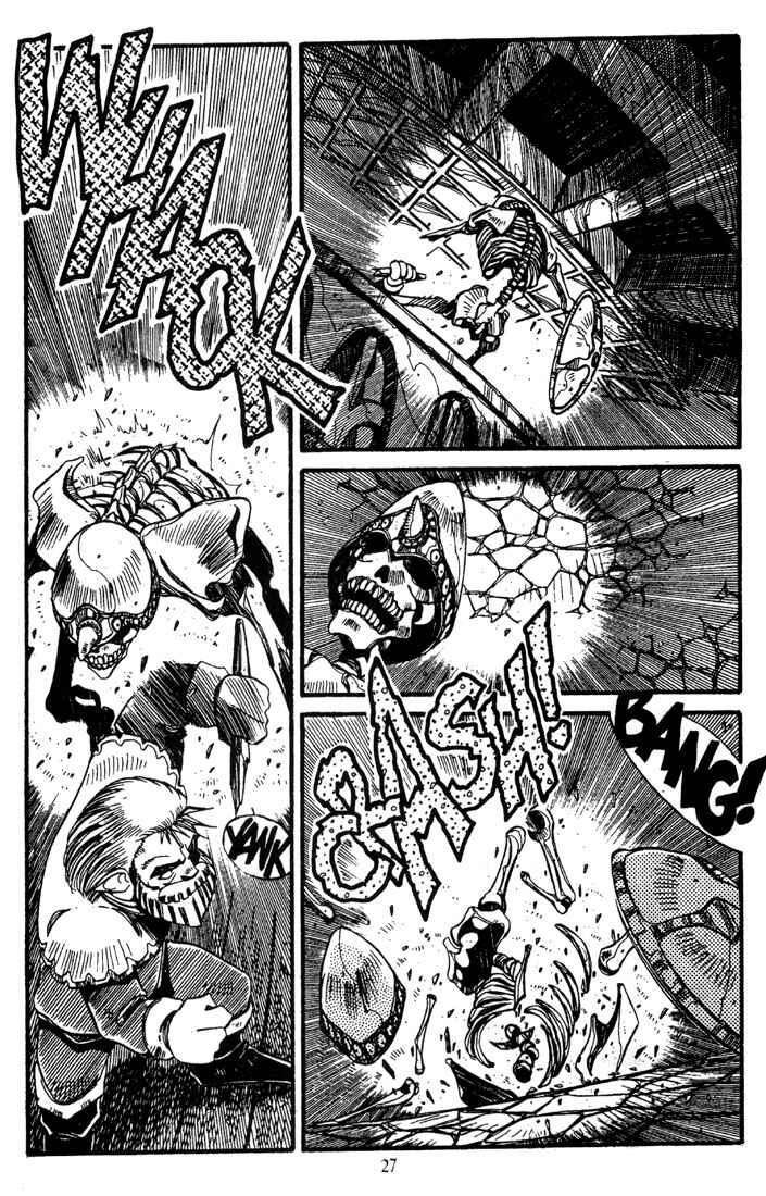 Page 29 Chapter 11 Record of Lodoss War - The Grey Witch