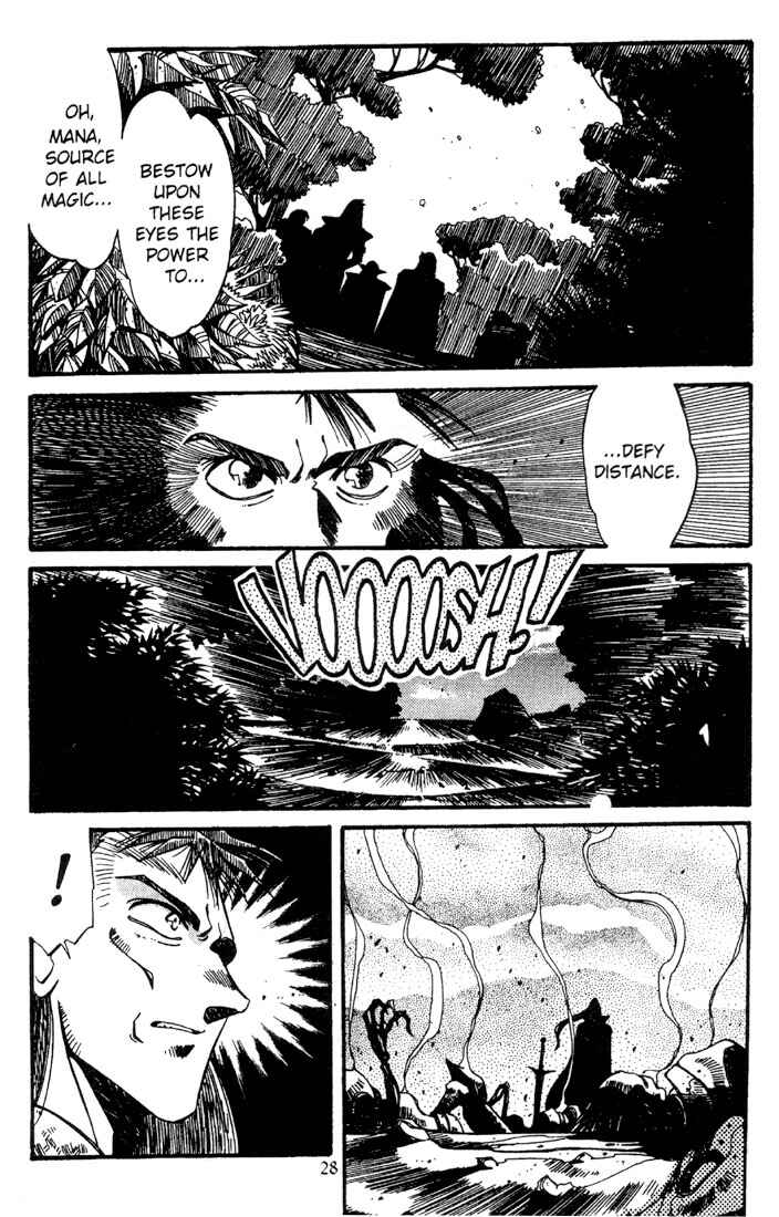 Page 29 Chapter 9 Record of Lodoss War - The Grey Witch