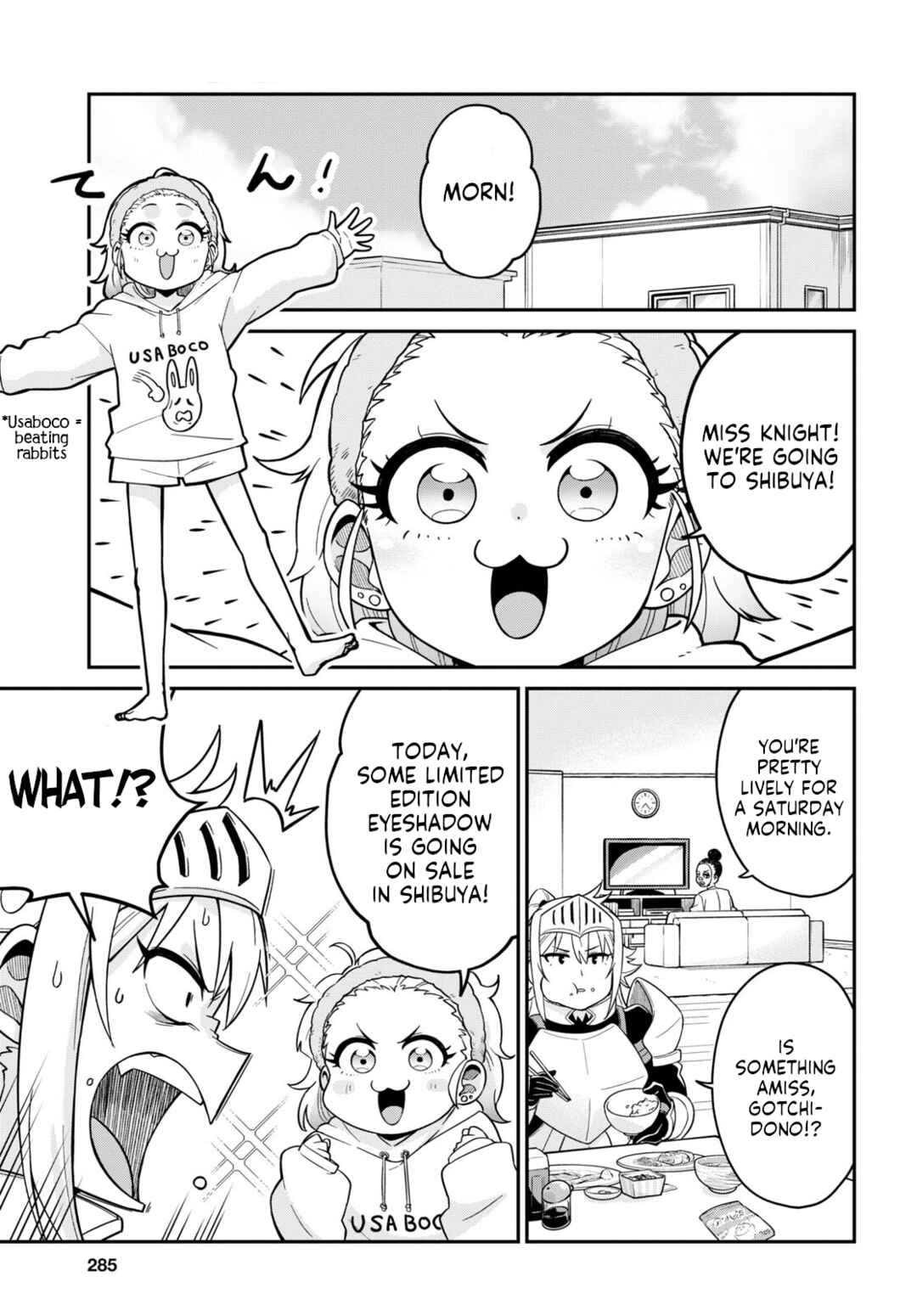 Page 3 Chapter 2 GAL and KNIGHTESS