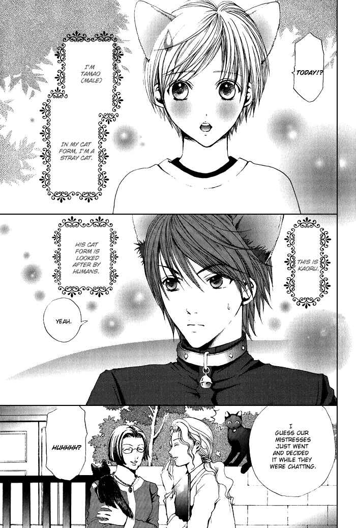 Page 7 Chapter 7 Renai Patisserie