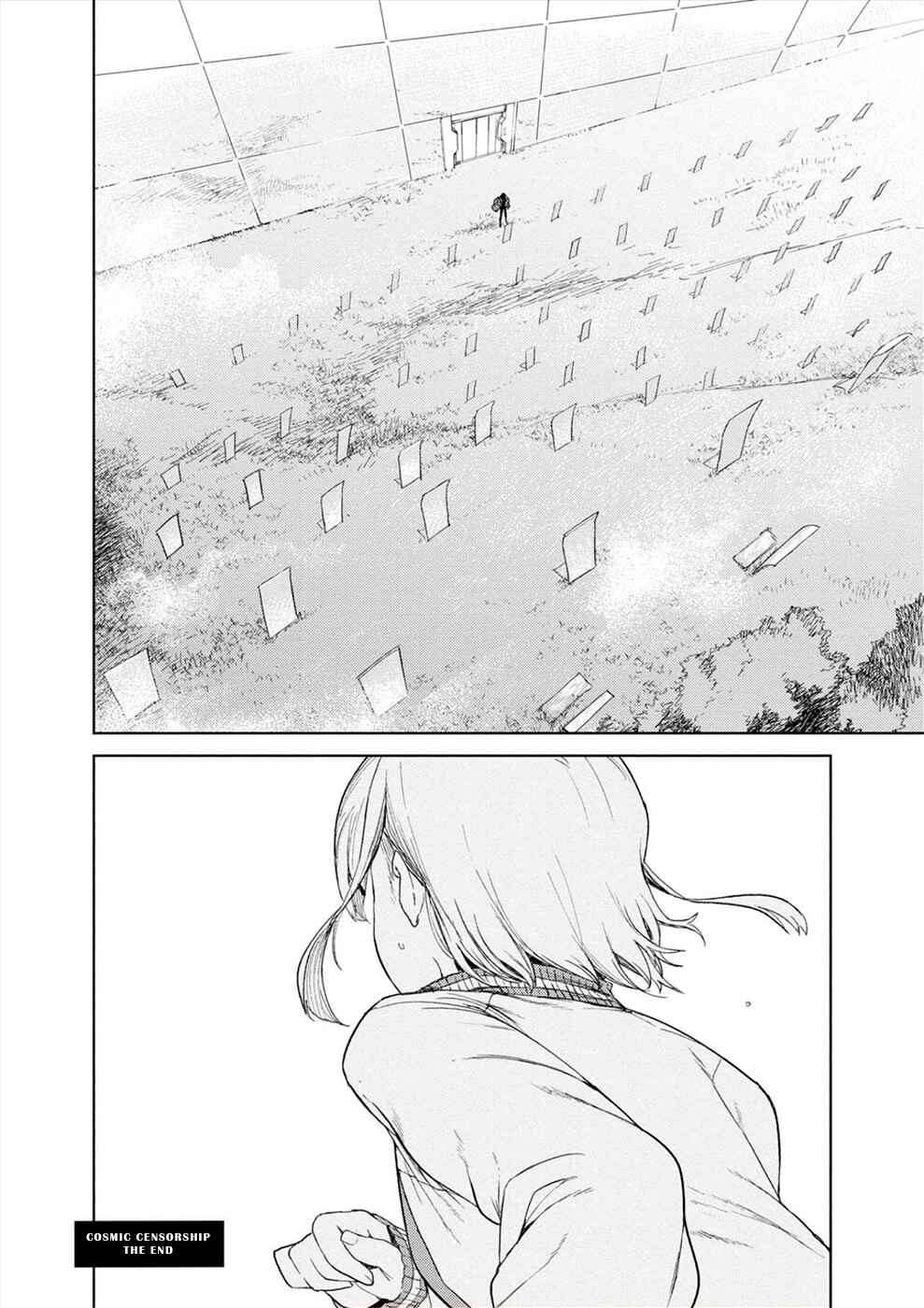 Page 28 Chapter 39 Cosmic Censorship