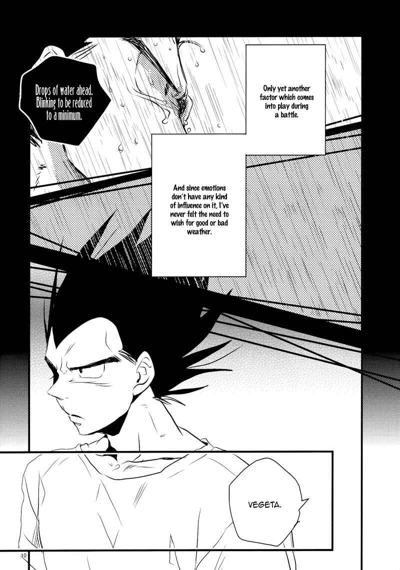Page 10 Chapter Unknown_41af Dragon Ball Z - Lets hope for a sunny day (Doujinshi)