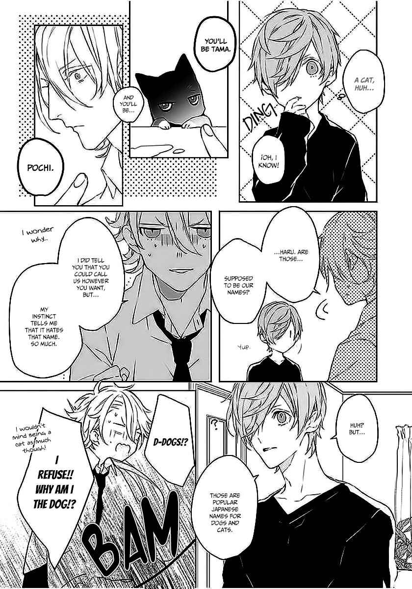 Page 16 Chapter 2 Ballad x Opera