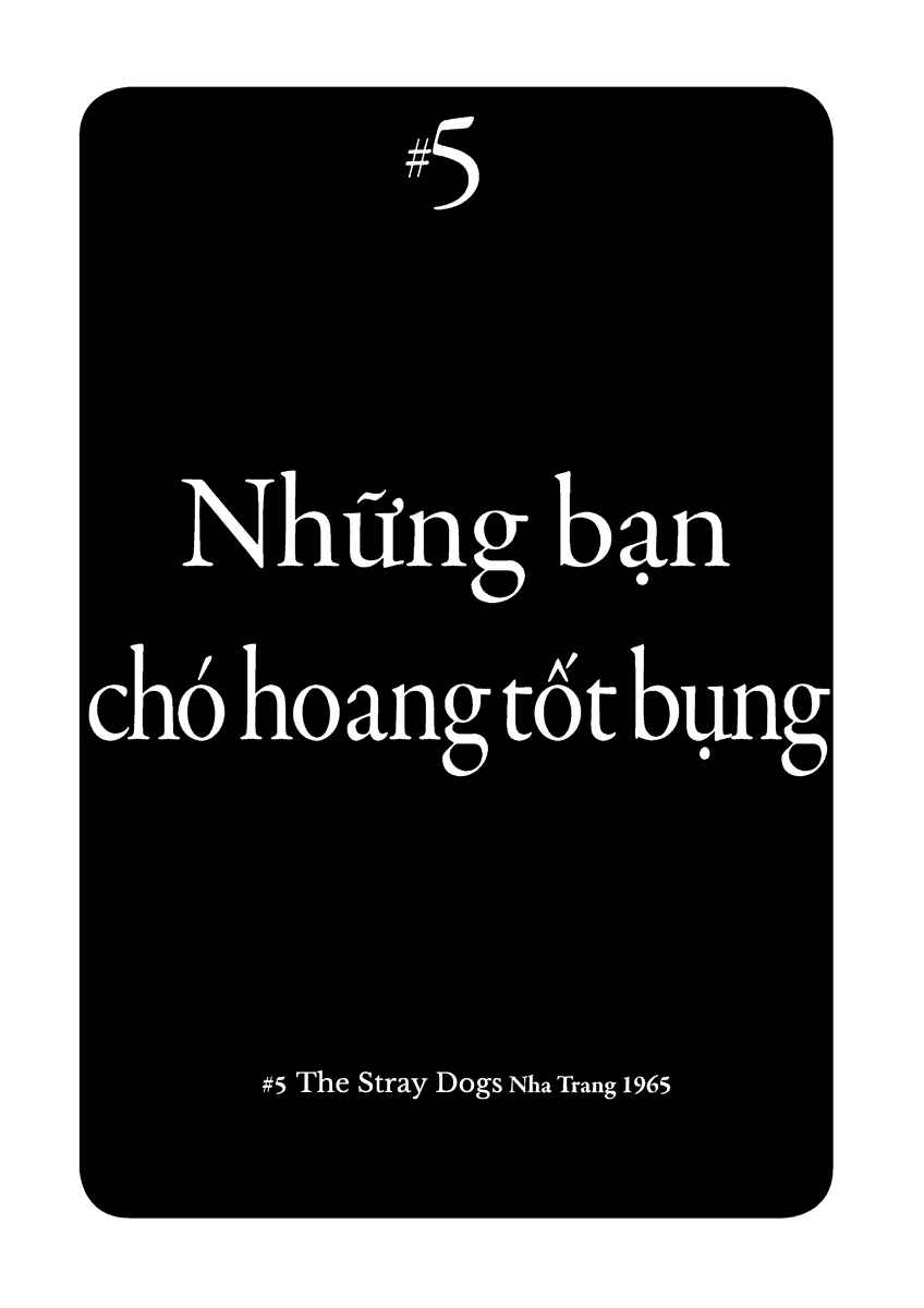 Page 2 Chapter 5 Dien Bien Phu