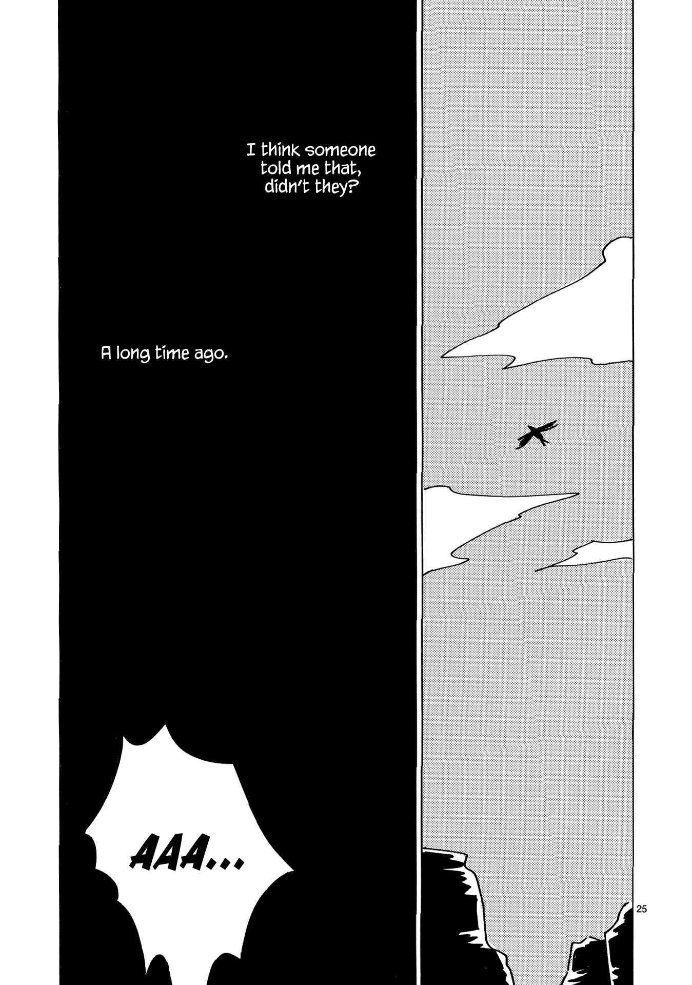 Page 23 Chapter 35 Dien Bien Phu