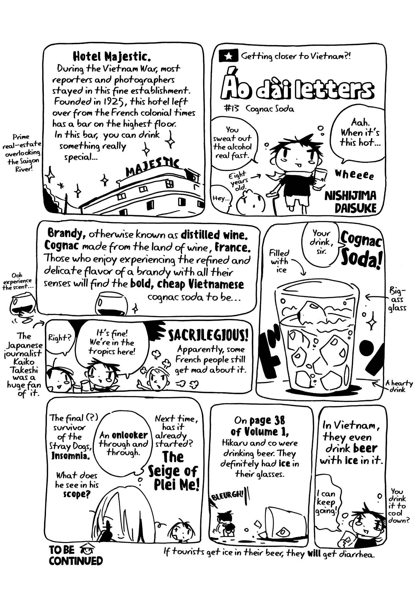Page 2 Chapter 18.2 Dien Bien Phu