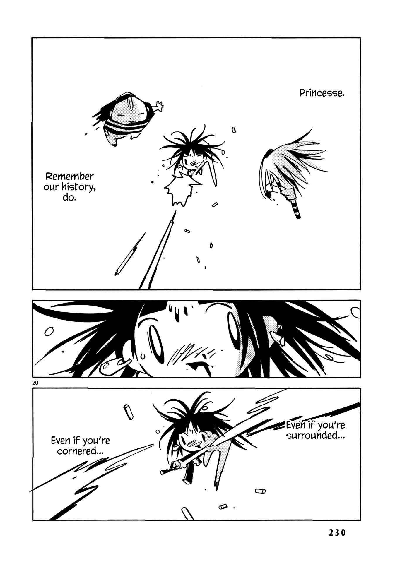 Page 19 Chapter 30 Dien Bien Phu