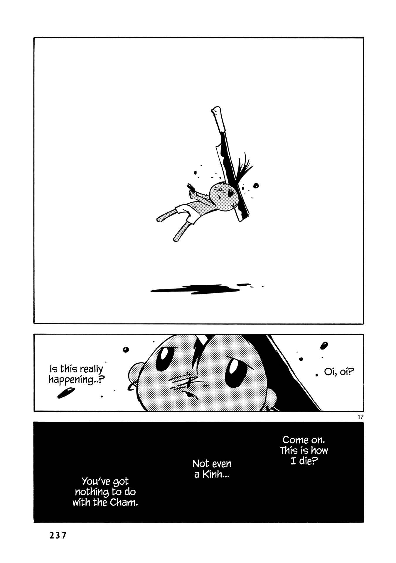 Page 19 Chapter 24 Dien Bien Phu
