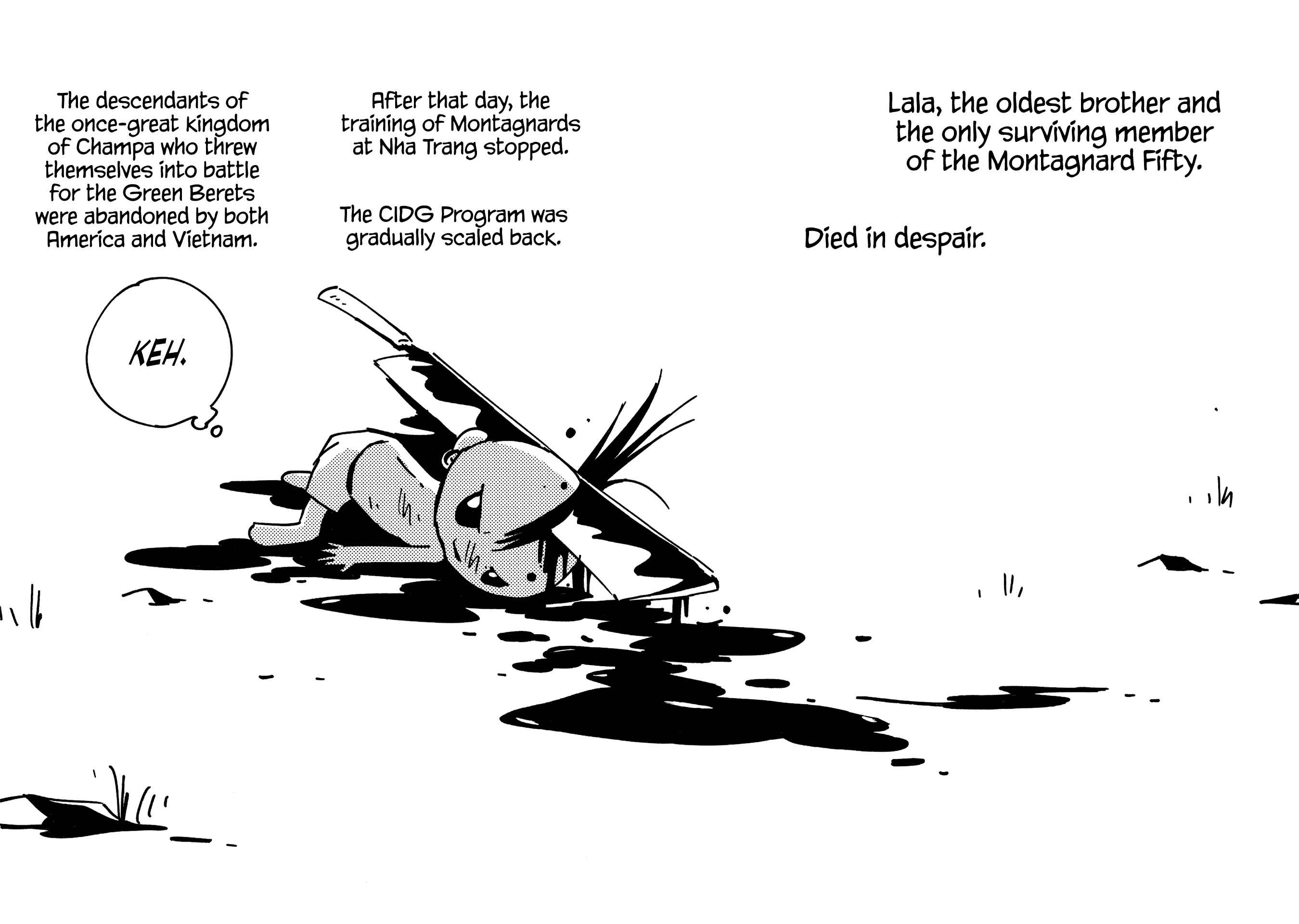 Page 22 Chapter 24 Dien Bien Phu