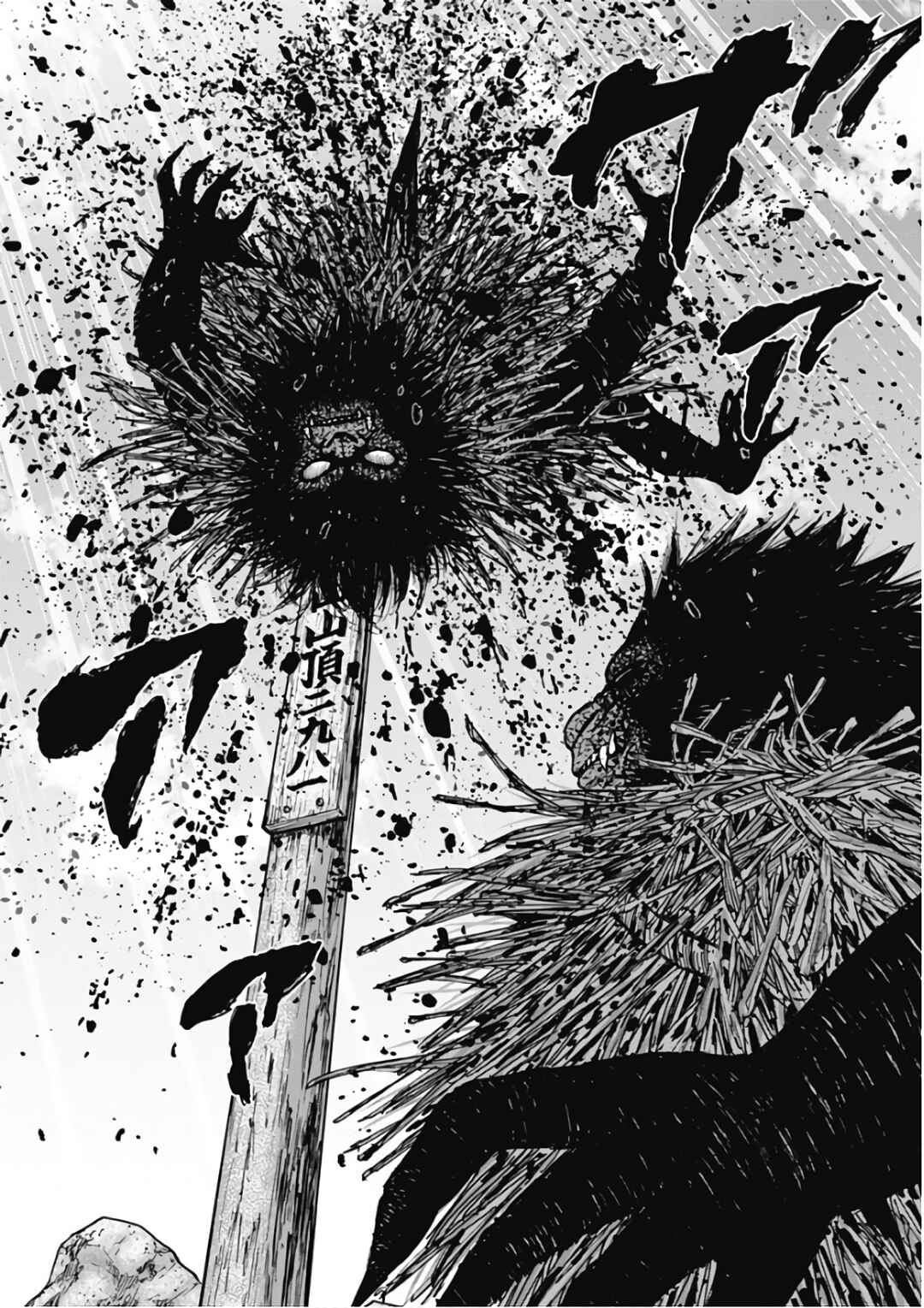 Page 23 Chapter 111 Monkey Peak