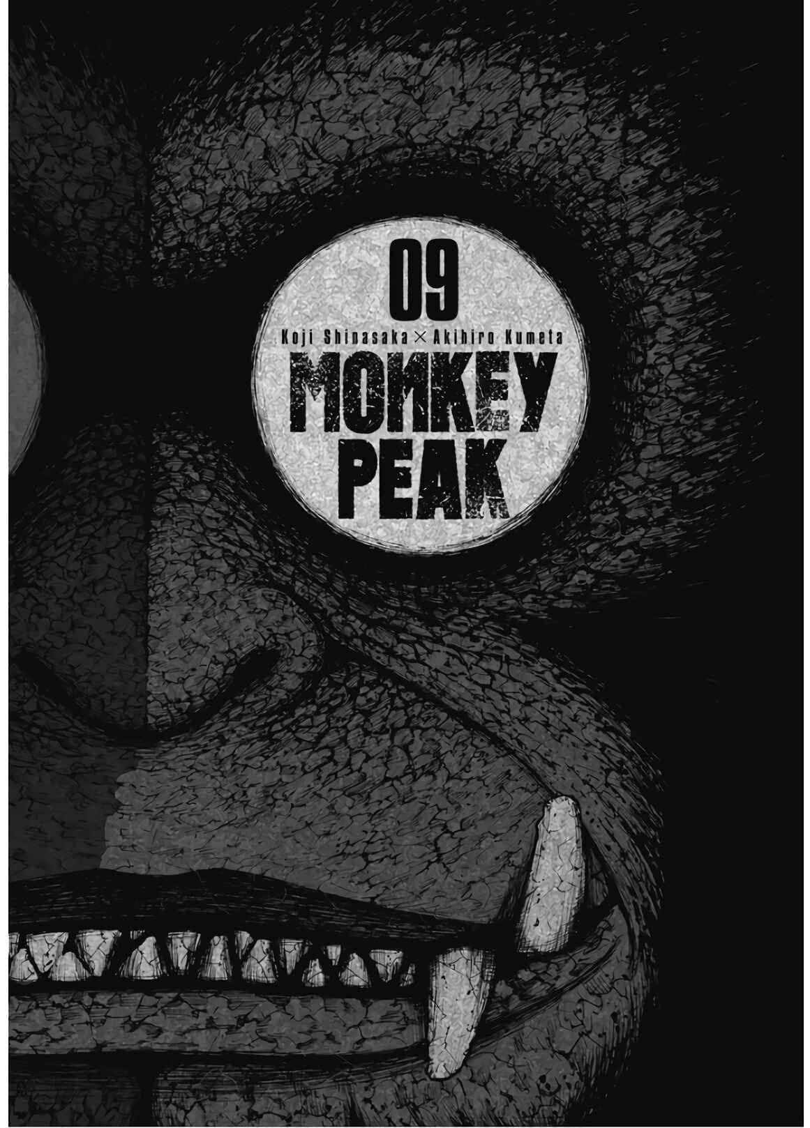 Page 3 Chapter 81 Monkey Peak