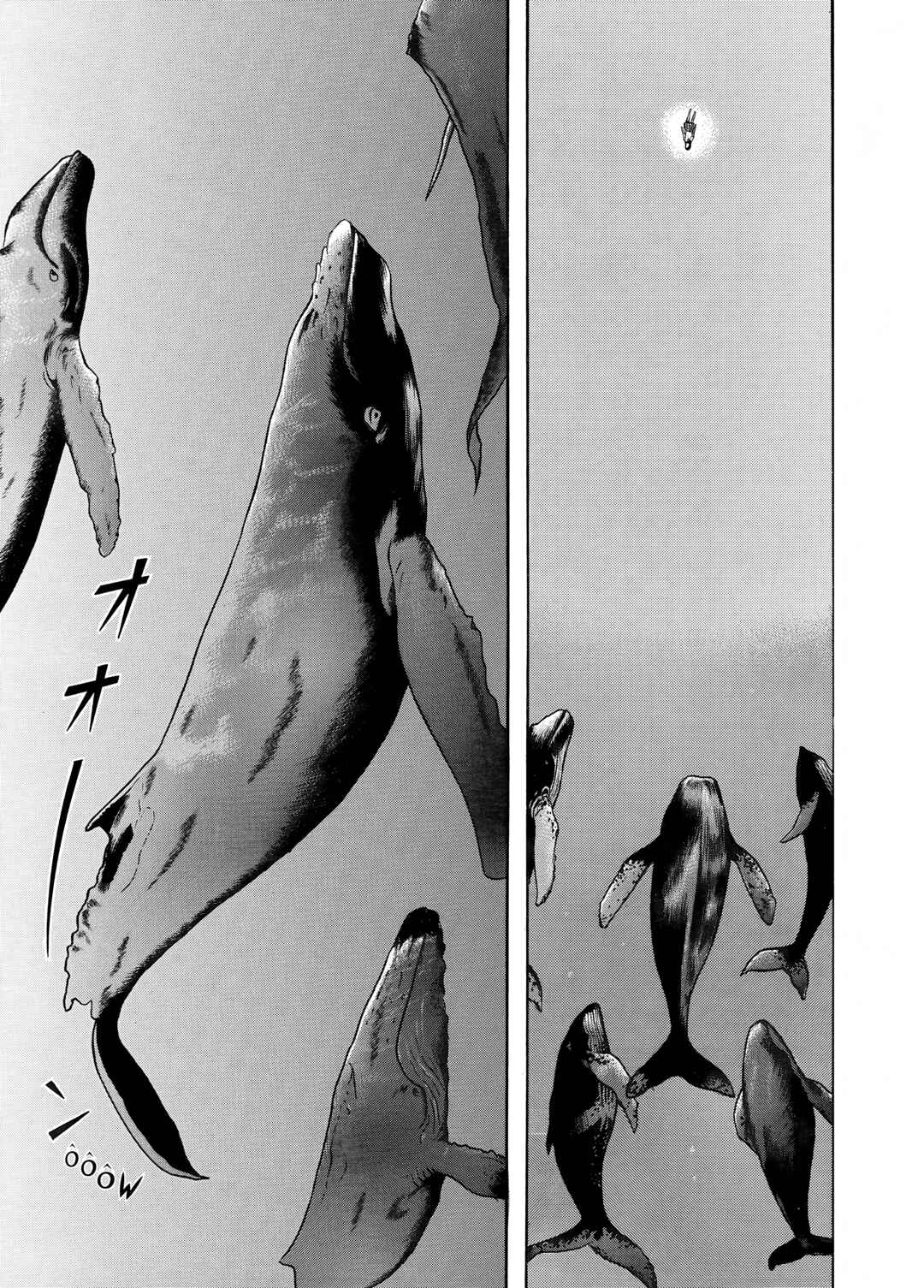 Page 11 Chapter 16 Maiwai