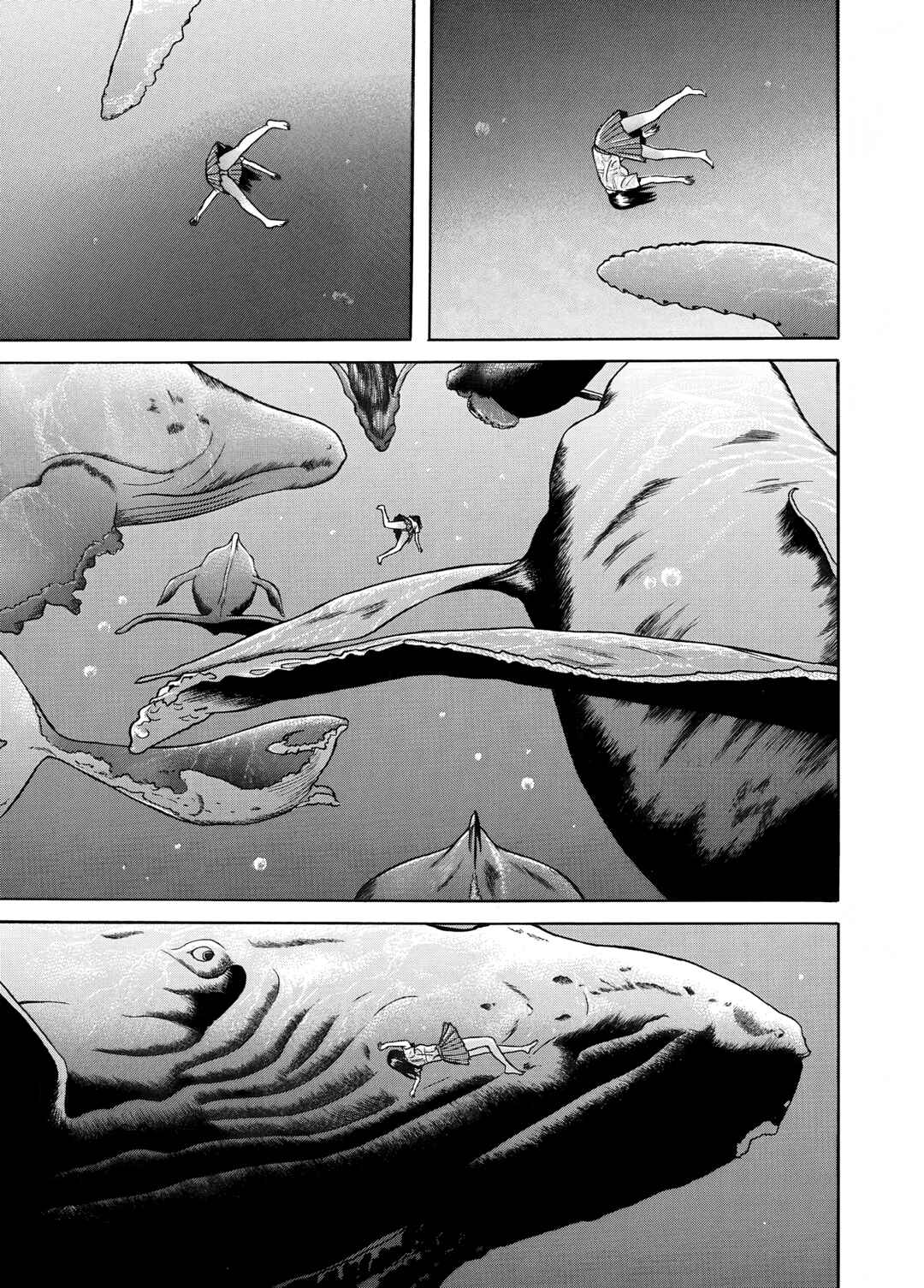 Page 13 Chapter 16 Maiwai