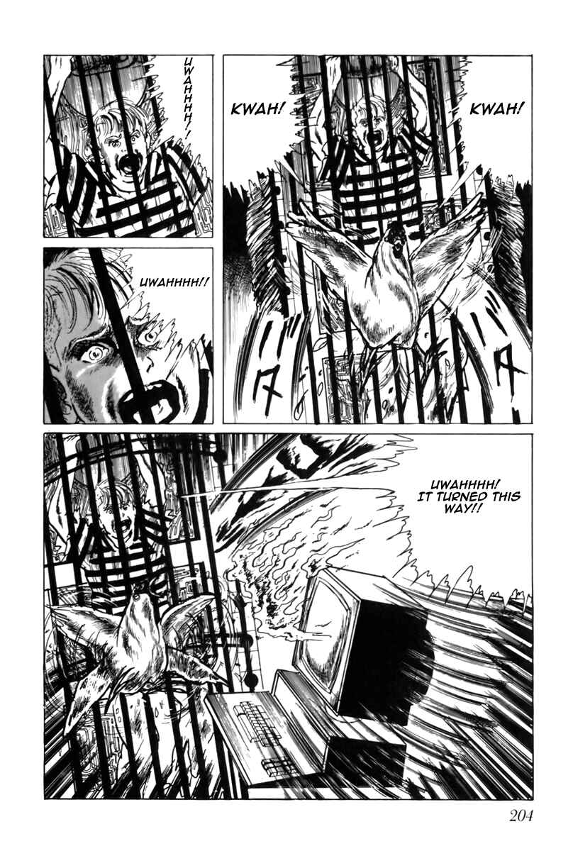 Page 10 Chapter 32 Fourteen
