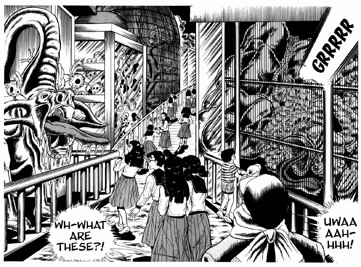 Page 11 Chapter 15 Fourteen