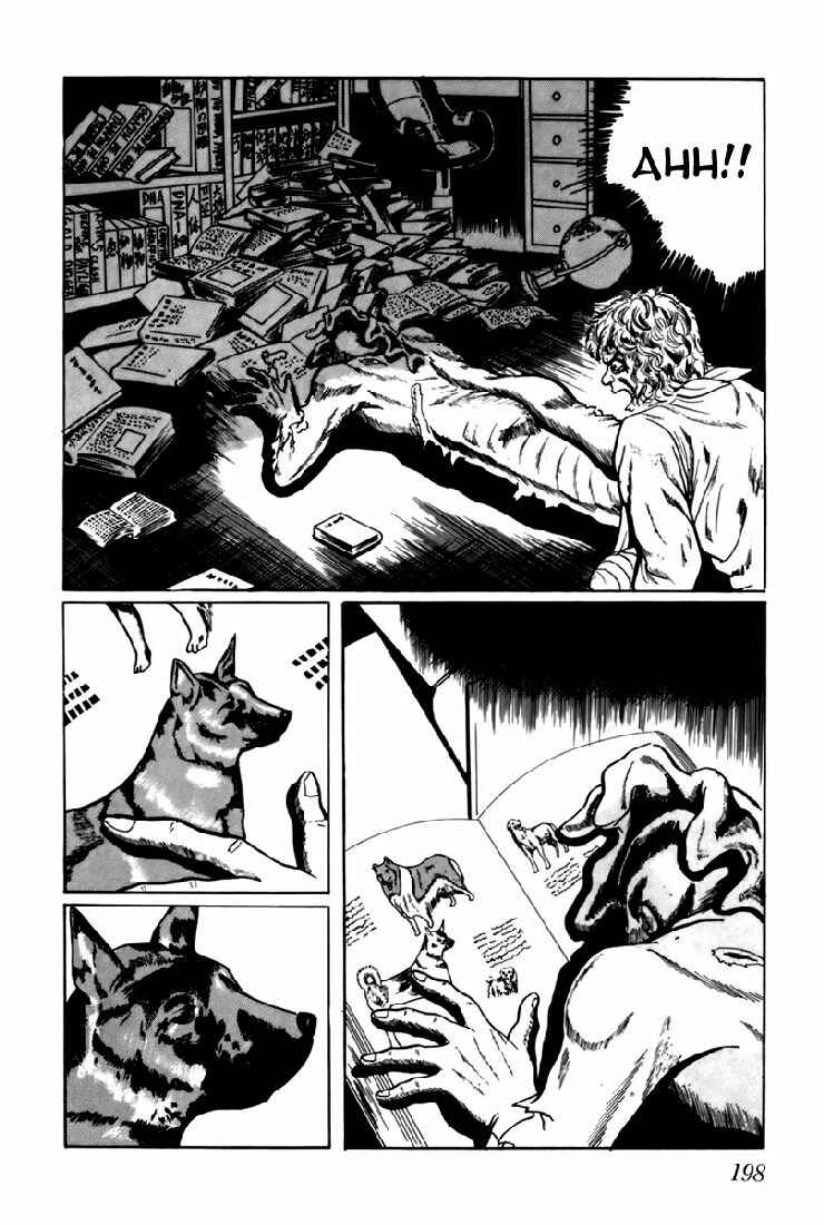 Page 14 Chapter 12 Fourteen