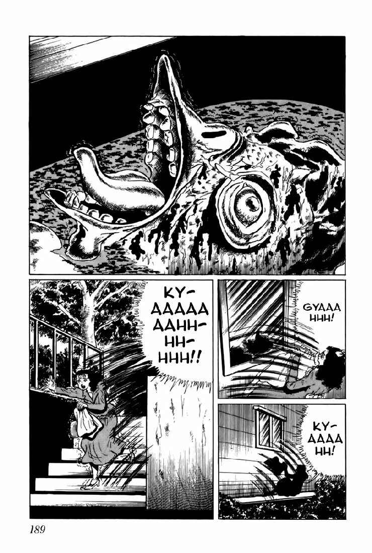 Page 5 Chapter 12 Fourteen