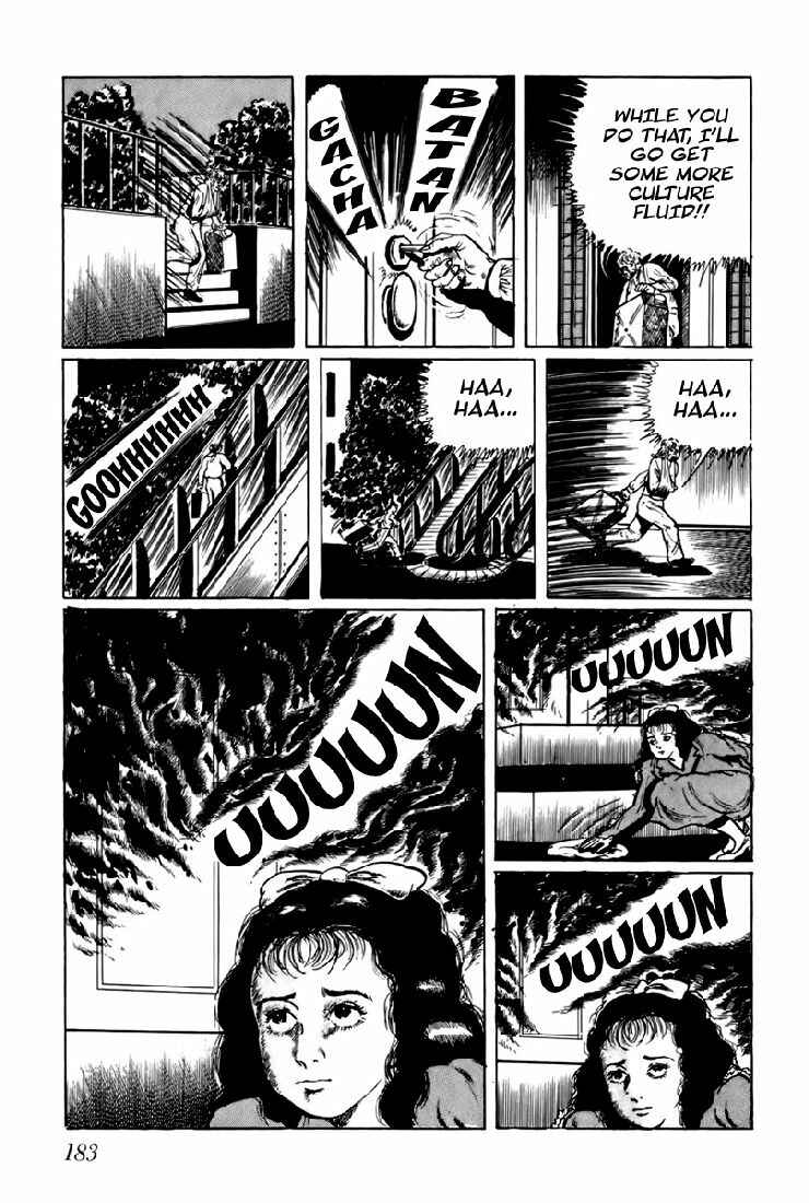 Page 15 Chapter 11 Fourteen