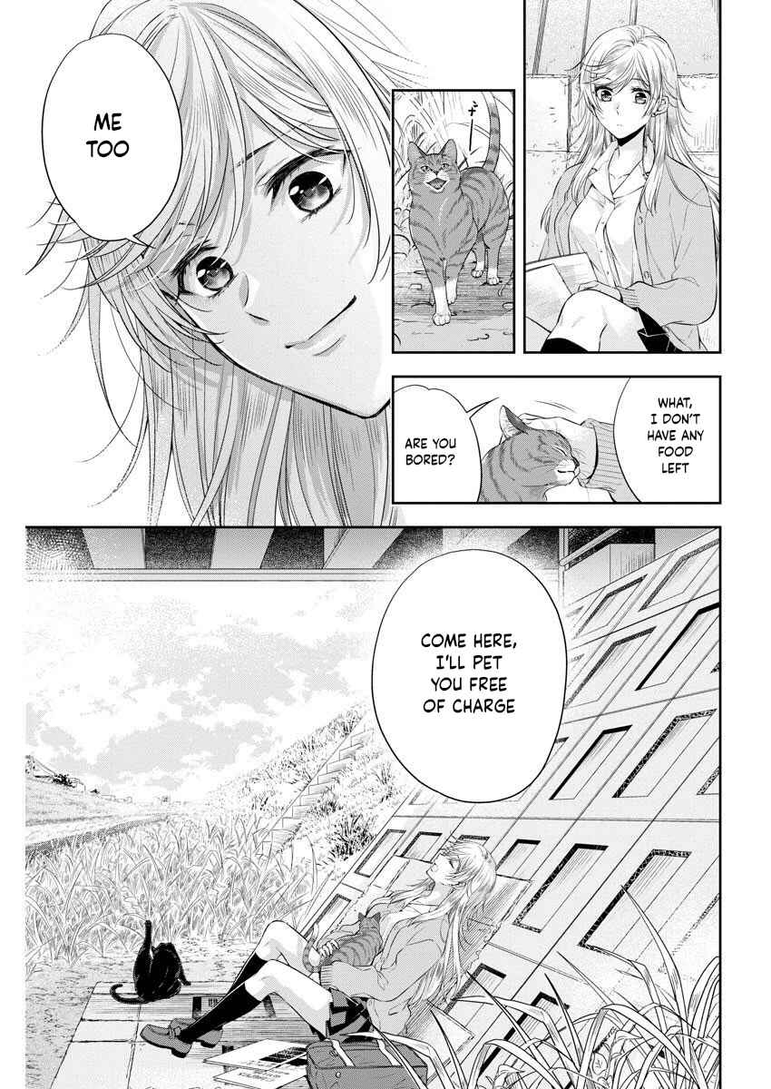 Page 20 Chapter 7 By Spring