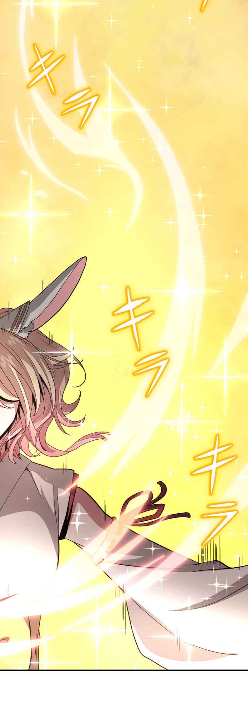 Page 30 Chapter 11 HP 1 de Musou