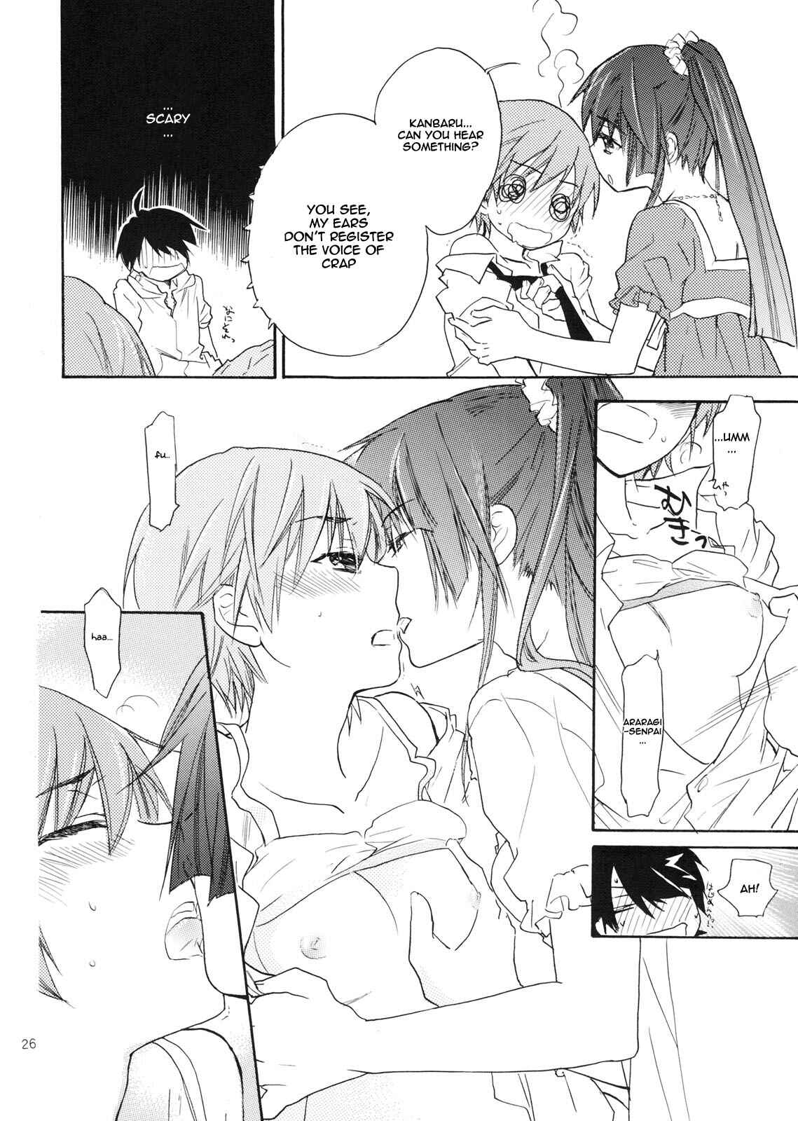 Page 25 Chapter Unknown_248f Bakemonogatari - Sarudie! (Doujinshi)