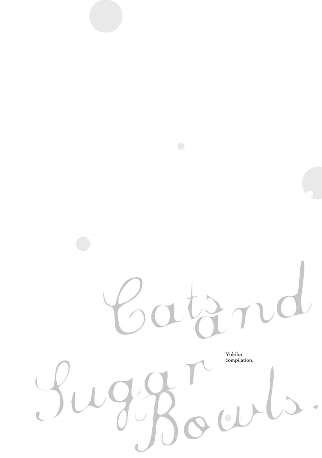Page 2 Chapter 2 Cats and Sugar Bowls
