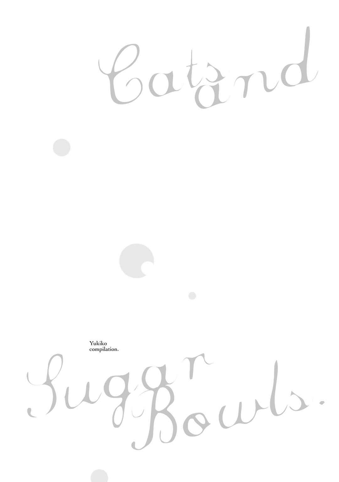 Page 2 Chapter 3 Cats and Sugar Bowls
