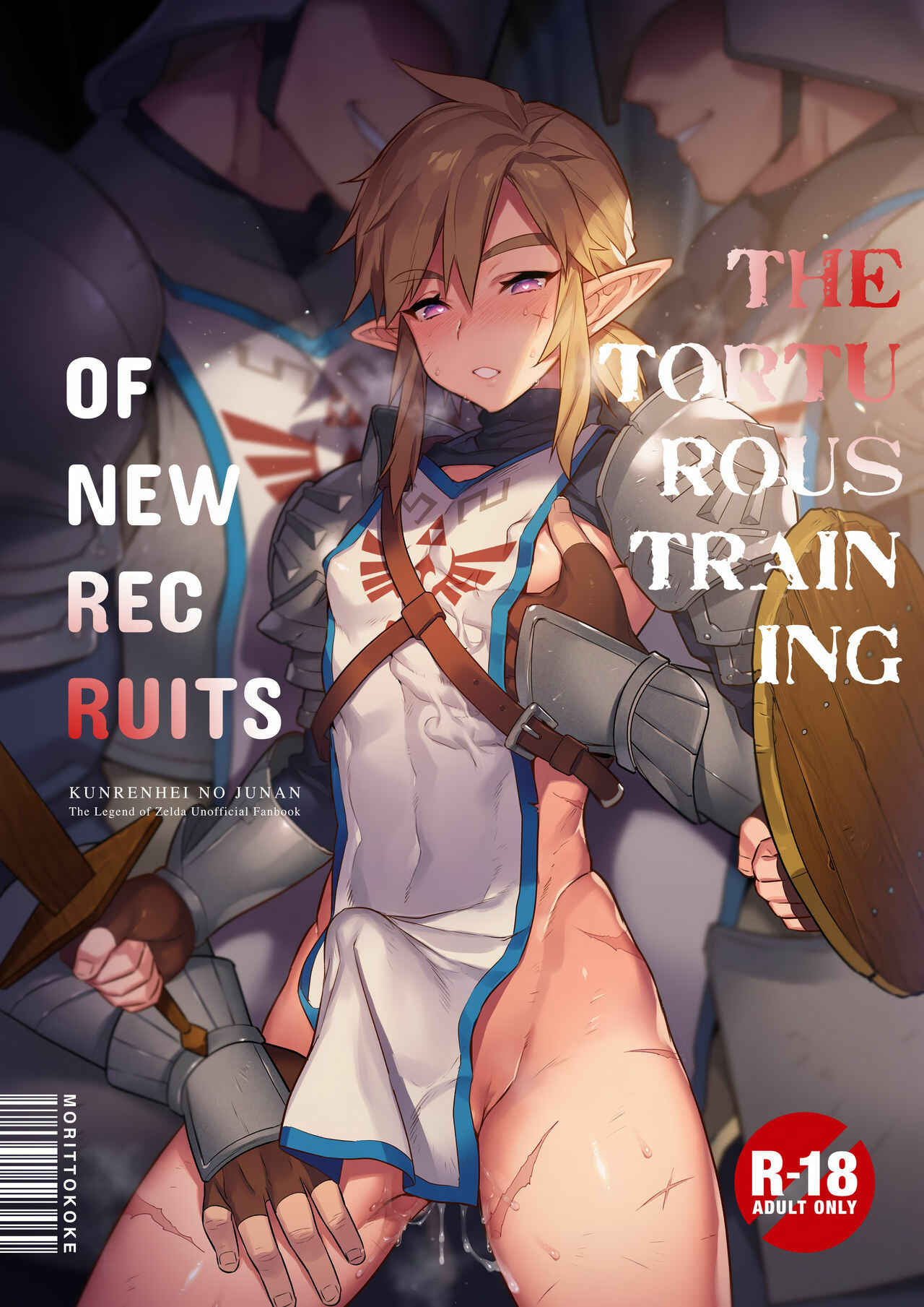 Page 1 Chapter Unknown_2ea5 The Legend of Zelda - The Torturous Training of New Recruits (Doujinshi)