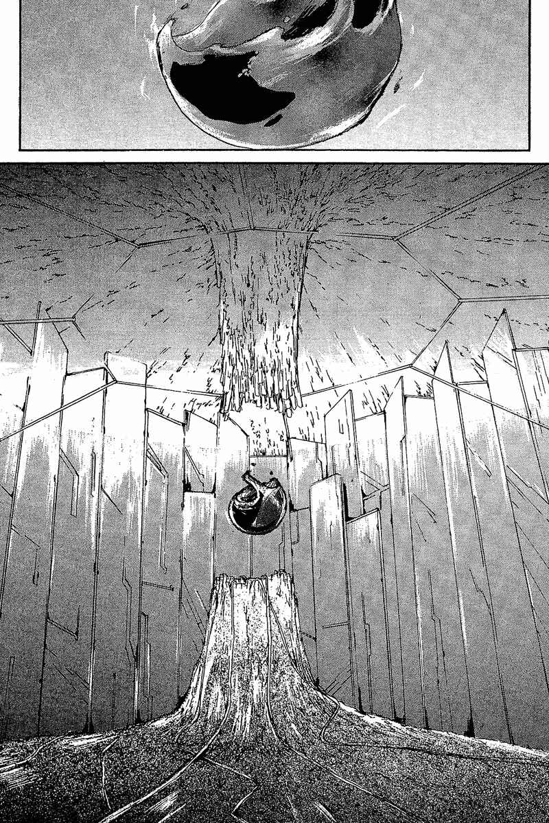 Page 43 Chapter 1 Ignite Wedge