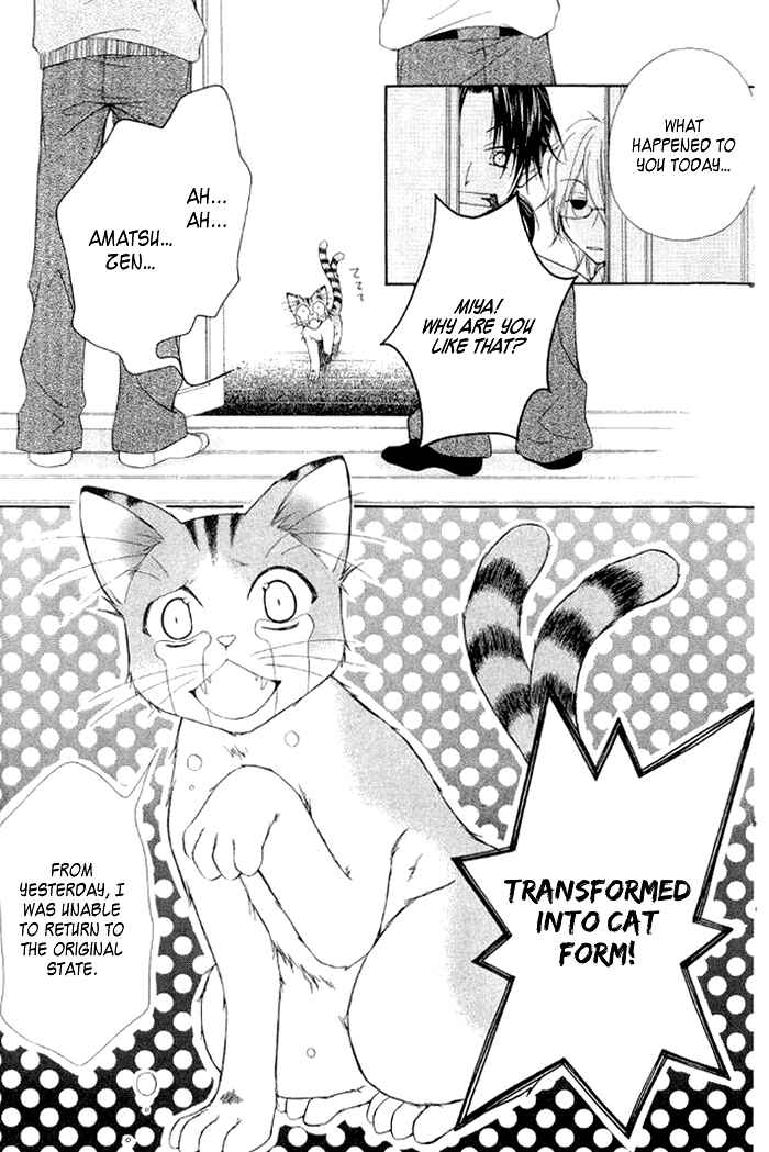 Page 11 Chapter 3 Ayakashi Tennen Beans