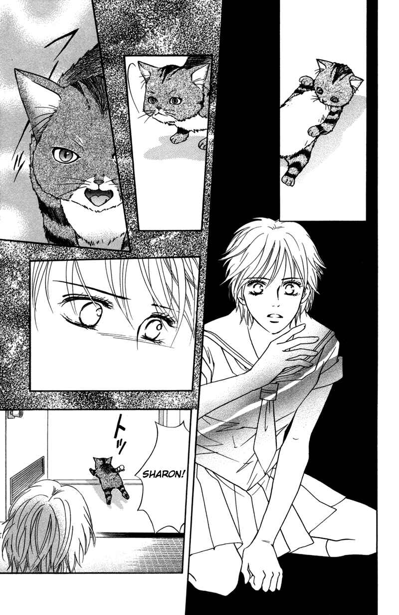 Page 8 Chapter 46.5 Crimson Hero