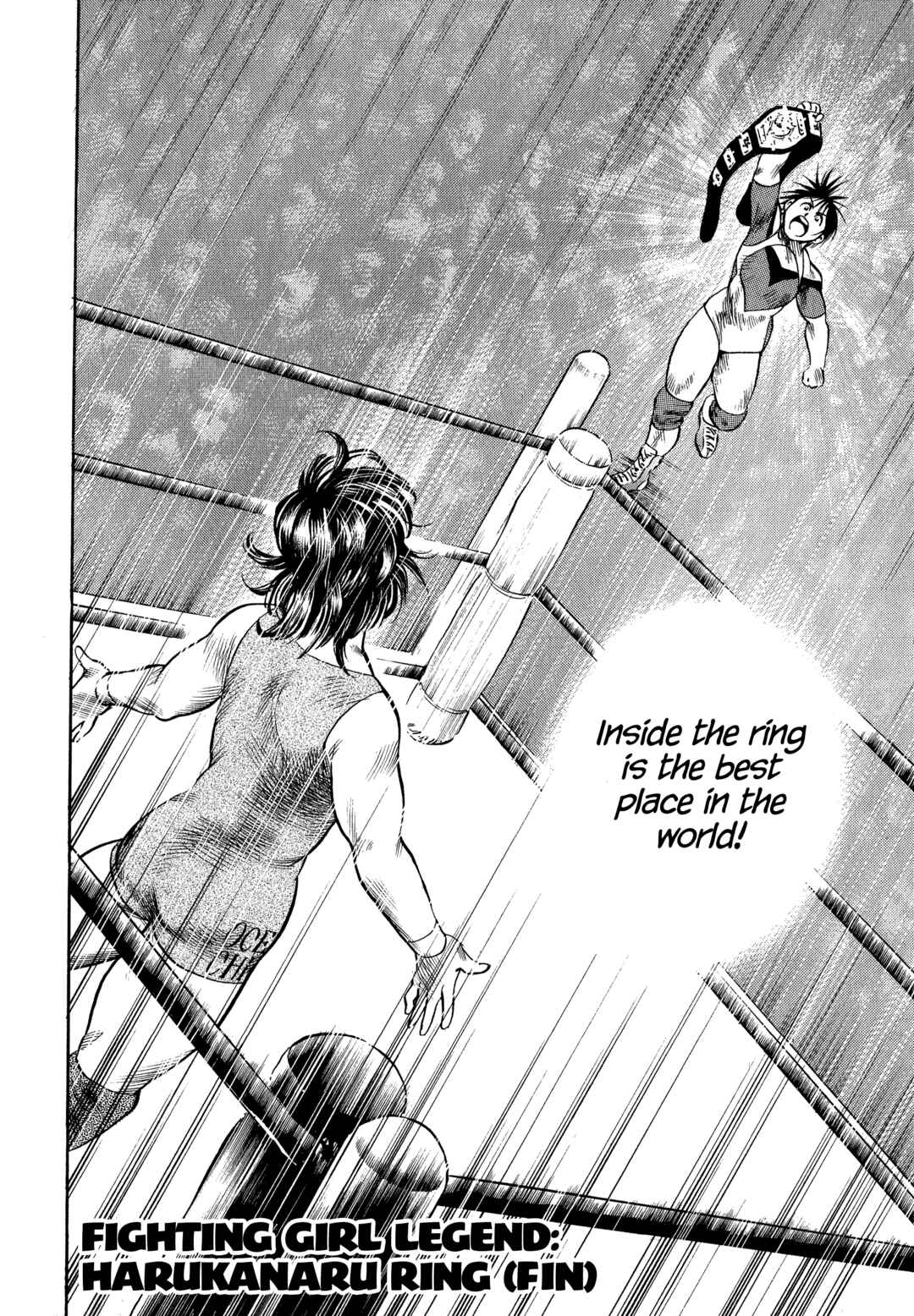Page 29 Chapter 35 Harukanaru Ring