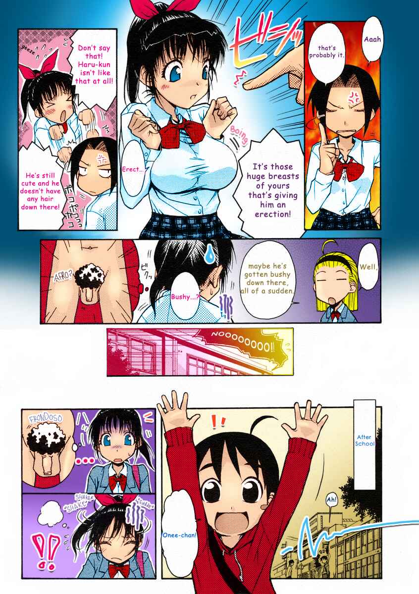 Page 5 Chapter Unknown_3095 Onee-chan Senyou! (Fan Colored)